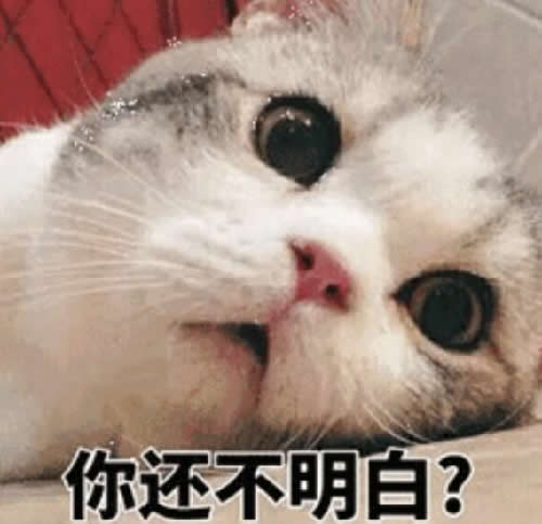 如何打造个人品牌?-第2张图片-智慧创业网 如何打造个人品牌?-第2张图片-智慧创业网