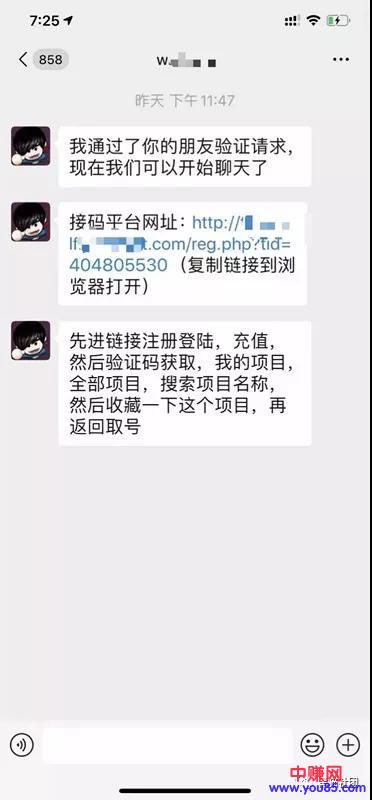 [网赚项目]虚拟暴利网赚项目：接码平台衍生的全新月入过万的方式！-第5张图片-智慧创业网