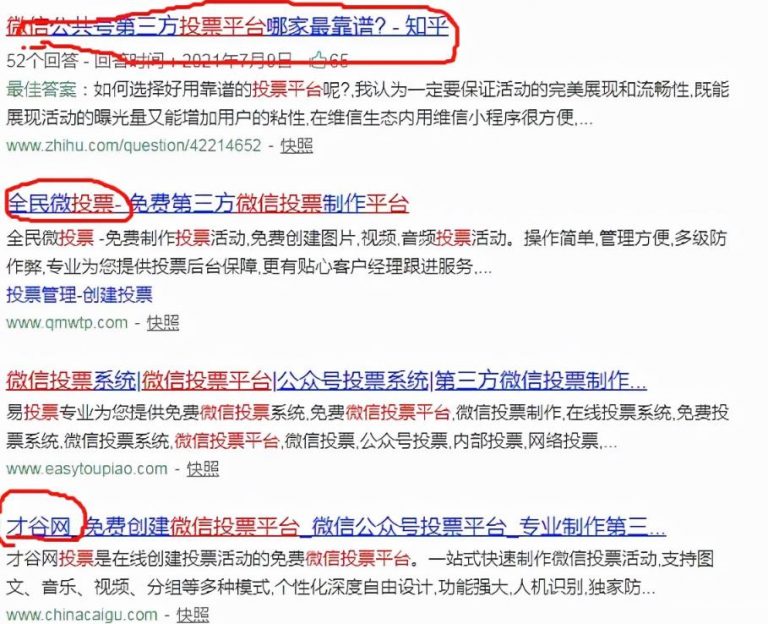 [网赚项目]网上投票赚钱项目，靠执行力如何月入过万元？技巧分享-第3张图片-智慧创业网