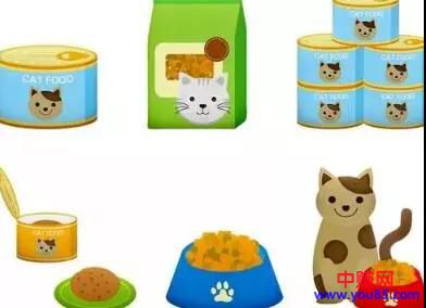 [创业资讯]利润高不起眼的偏门生意，养猫养出一门年赚数十万？-第3张图片-智慧创业网