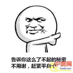 [短视频运营]新手做自媒体没赚到钱？分享几条能够快速变现的技巧-第7张图片-智慧创业网