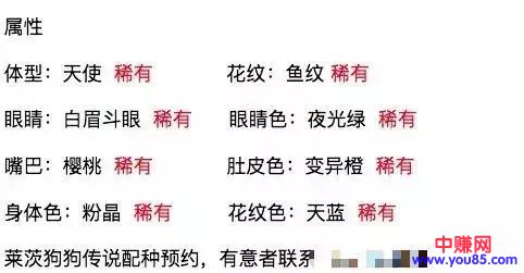 割韭菜的游戏,揭秘区块链是如何成为暴利赚钱工具的!-第8张图片-智慧创业网 割韭菜的游戏,揭秘区块链是如何成为暴利赚钱工具的!-第8张图片-智慧创业网