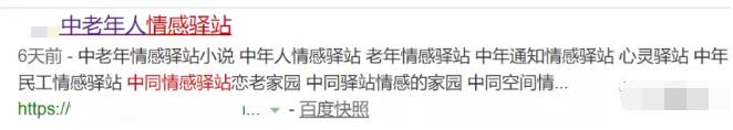 [创业资讯]人到中年身不由已，前景很好的搭建中年情感驿站网站全自动挣钱项目-第2张图片-智慧创业网