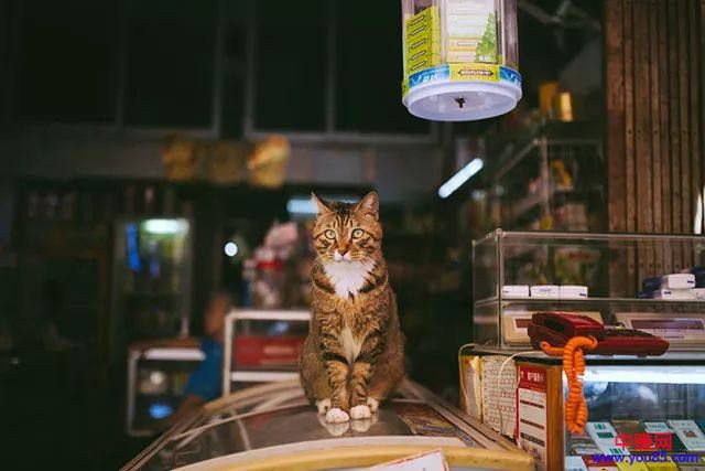 想在老家镇上开一家化妆品小店可行吗?要注意哪些方面?-第1张图片-智慧创业网 想在老家镇上开一家化妆品小店可行吗?要注意哪些方面?-第1张图片-智慧创业网