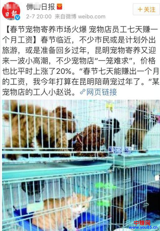 过年期间寄养宠物,也是一个不错的暴利网赚项目,日赚过千-第2张图片-智慧创业网 过年期间寄养宠物,也是一个不错的暴利网赚项目,日赚过千-第2张图片-智慧创业网