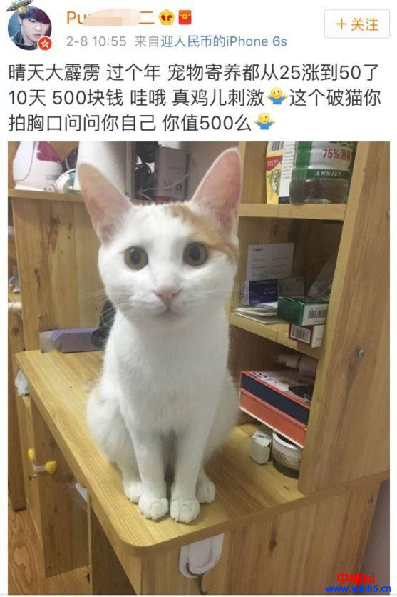 过年期间寄养宠物,也是一个不错的暴利网赚项目,日赚过千-第1张图片-智慧创业网 过年期间寄养宠物,也是一个不错的暴利网赚项目,日赚过千-第1张图片-智慧创业网