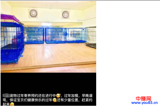 过年期间寄养宠物,也是一个不错的暴利网赚项目,日赚过千-第5张图片-智慧创业网 过年期间寄养宠物,也是一个不错的暴利网赚项目,日赚过千-第5张图片-智慧创业网
