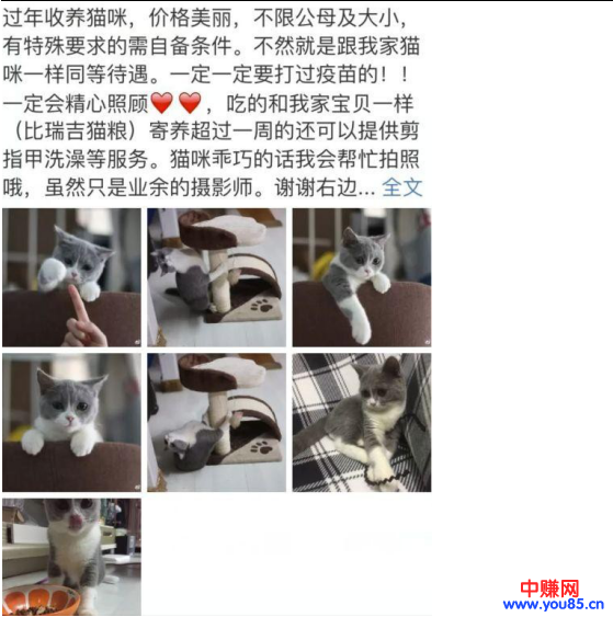 过年期间寄养宠物,也是一个不错的暴利网赚项目,日赚过千-第6张图片-智慧创业网 过年期间寄养宠物,也是一个不错的暴利网赚项目,日赚过千-第6张图片-智慧创业网