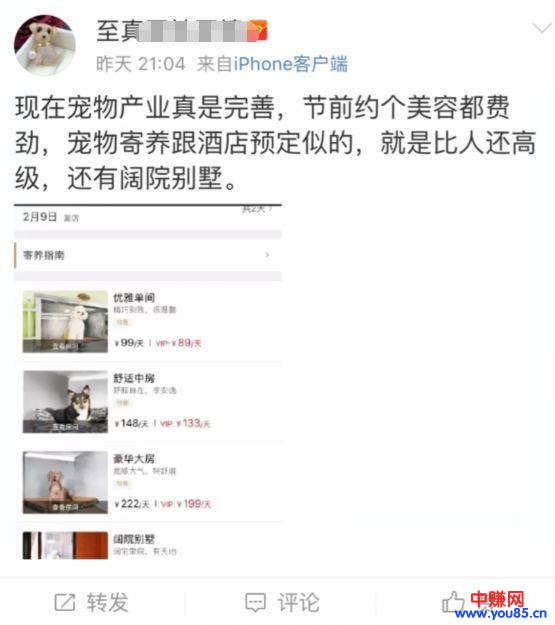 过年期间寄养宠物,也是一个不错的暴利网赚项目,日赚过千-第3张图片-智慧创业网 过年期间寄养宠物,也是一个不错的暴利网赚项目,日赚过千-第3张图片-智慧创业网