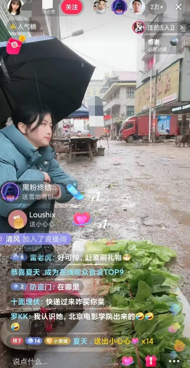 [网赚项目]打开美颜就能搞钱的卖菜套路，月入几万到十几万，日子过得美滋滋-第2张图片-智慧创业网