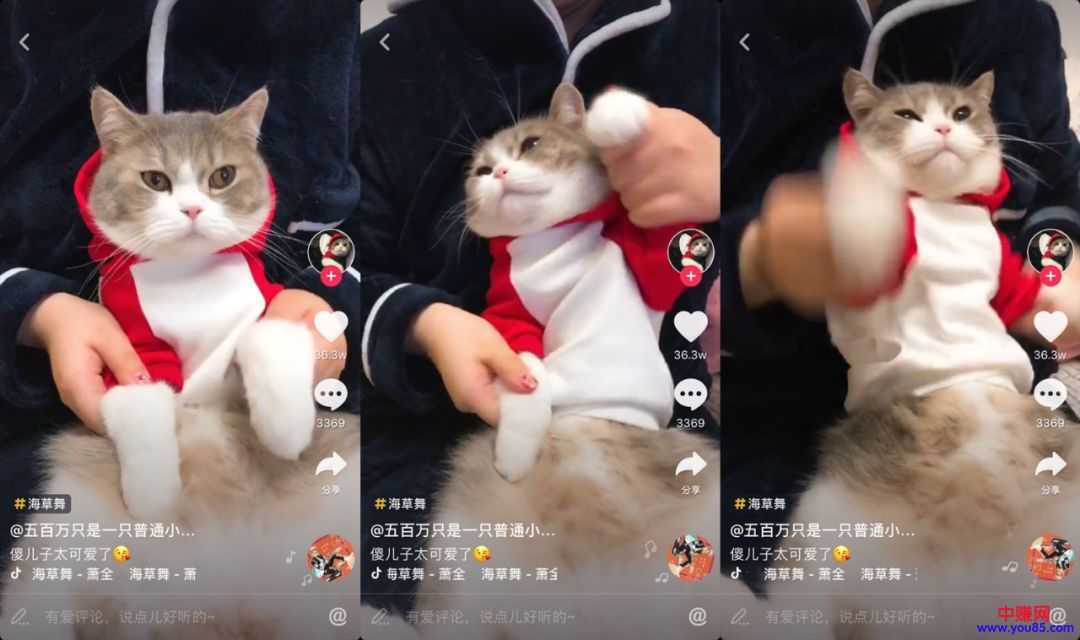 “抖音”10万赞视频背后,服装人该如何借势营销?-第3张图片-智慧创业网 “抖音”10万赞视频背后,服装人该如何借势营销?-第3张图片-智慧创业网