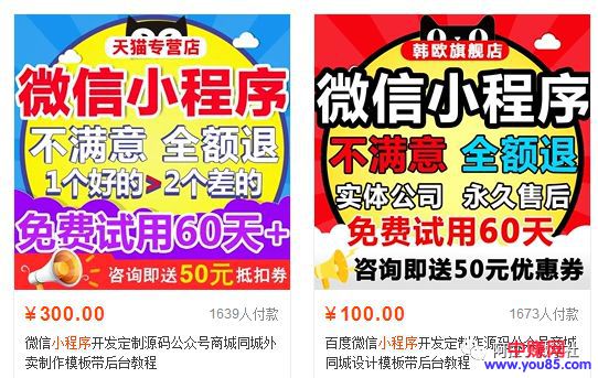 [网赚项目]帮人代做小程序，利用技术赚钱也很暴利！-第1张图片-智慧创业网