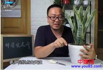 微商如何利用头条号日引200精准客户-第2张图片-智慧创业网 微商如何利用头条号日引200精准客户-第2张图片-智慧创业网