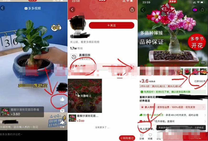 [网赚项目]蓝海项目，详细拆解日出千单，日入3000的核心玩法