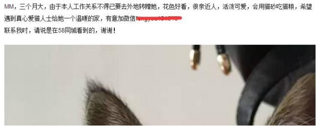 信息流爆炸时代,流量分散,玩转吸粉,这些套路你得会-第1张图片-智慧创业网 信息流爆炸时代,流量分散,玩转吸粉,这些套路你得会-第1张图片-智慧创业网