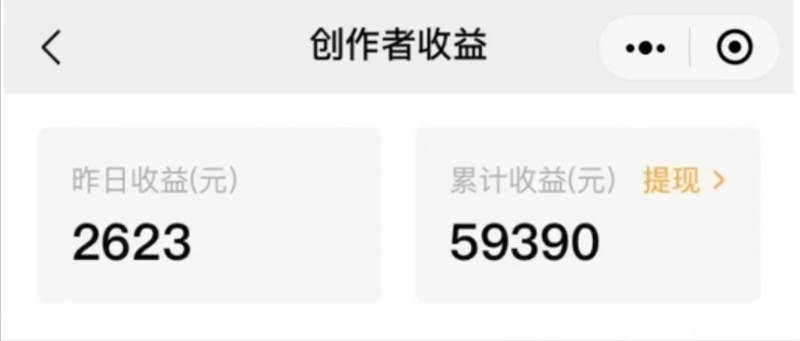 [网赚项目]无门槛人人可做副业项目，视频搬砖收益，实测一天2000+！-第1张图片-智慧创业网