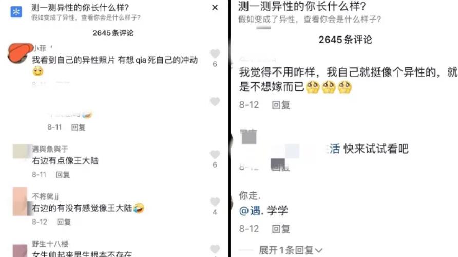 [网赚项目]抖音AI变脸视频如何三天成功变现15w收益，聊聊我拆解的抖音流量密码-第5张图片-智慧创业网
