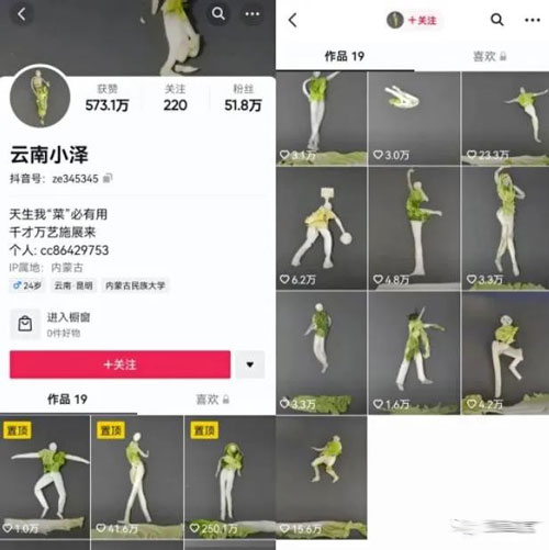 [短视频运营]抖音最新风口玩法：定格动画