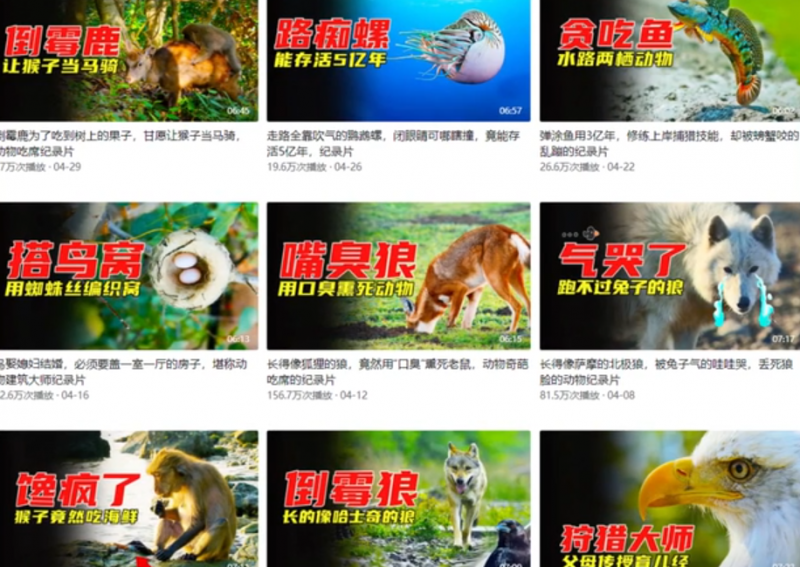 [短视频运营]动物纪录片中视频+小程序推广项目，0粉丝0门槛就能入门，思路分享与你-第2张图片-智慧创业网