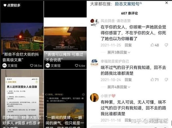 [网赚项目]分享一个抖音文案号的项目-第3张图片-智慧创业网