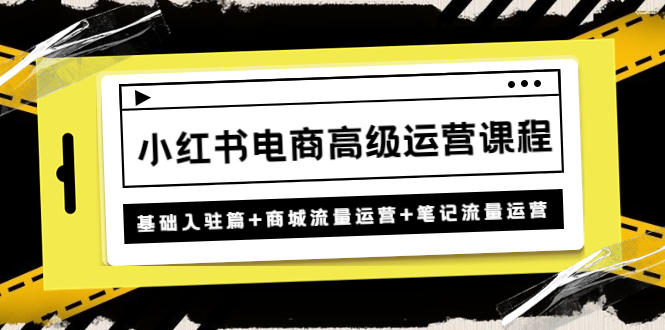 [小红书]（4638期）小红书电商高级运营课程：基础入驻篇+商城流量运营+笔记流量运营