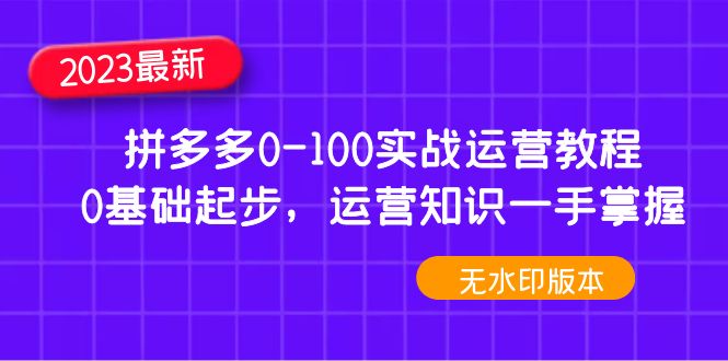 [国内电商]（4835期）2023拼多多0-100实战运营教程，0基础起步，运营知识一手掌握（无水印）