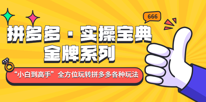 [国内电商]（4934期）拼多多·实操宝典：金牌系列“小白到高手”带你全方位玩转拼多多各种玩法-第1张图片-智慧创业网