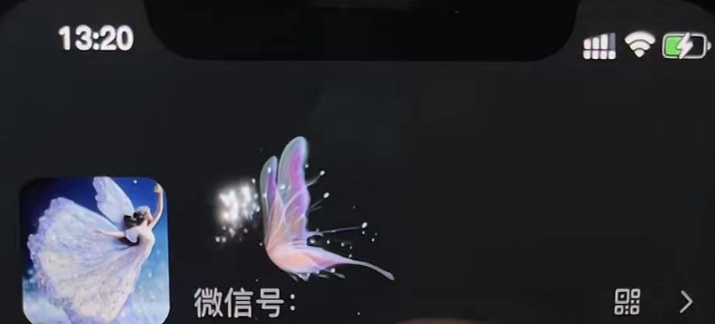 [热门给力项目]（4980期）微信动态昵称设置方法，可抖音直播引流，日赚上百【详细视频教程+素材】-第3张图片-智慧创业网