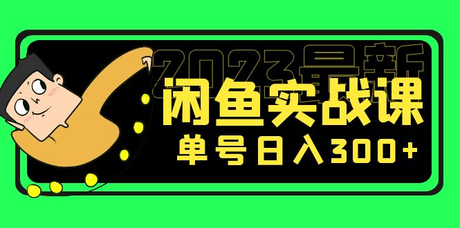 [无货源]（5117期）花599买的闲鱼项目：2023最新闲鱼实战课，单号日入300+（7节课）