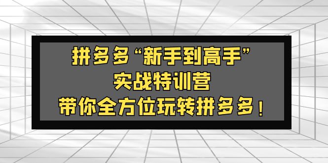 [国内电商]（5173期）拼多多“新手到高手”实战特训营：带你全方位玩转拼多多！