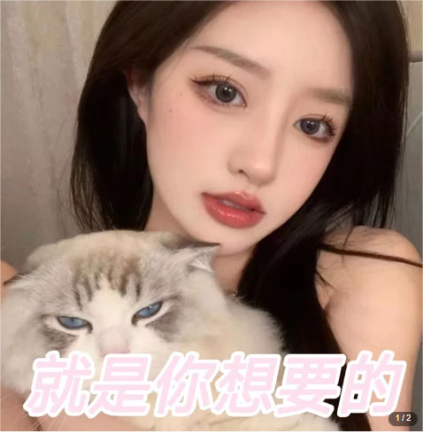 [热门给力项目]（5273期）微信交友变现项目，吸引全网LSP男粉精准变现，小白也能轻松上手，日入500+-第2张图片-智慧创业网