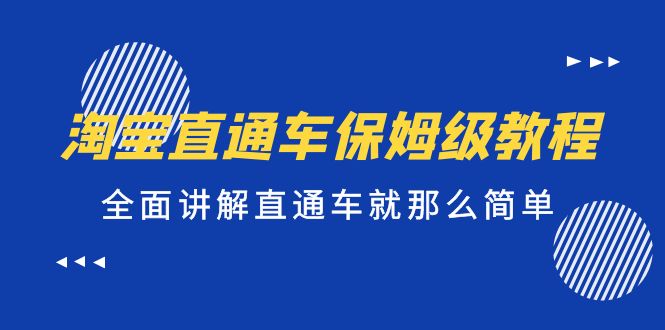 [国内电商]（5328期）淘宝直通车保姆级教程，全面讲解直通车就那么简单！-第1张图片-智慧创业网