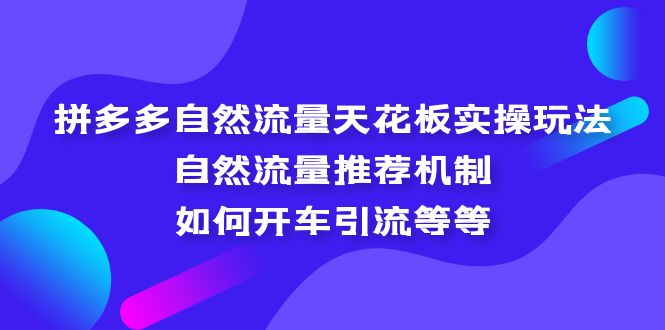 [国内电商]（5327期）拼多多自然流量天花板实操玩法：自然流量推荐机制，如何开车引流等等-第1张图片-智慧创业网