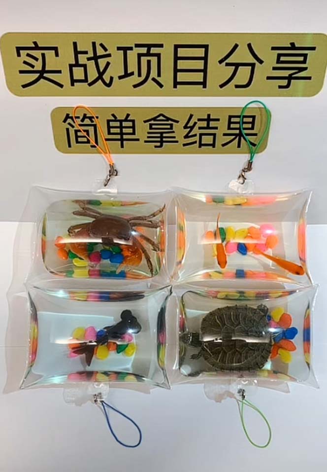 [热门给力项目]（5392期）最近抖音很火的泡泡鱼手工小成本地摊创业项目，日賺500+项目课程解析-第3张图片-智慧创业网