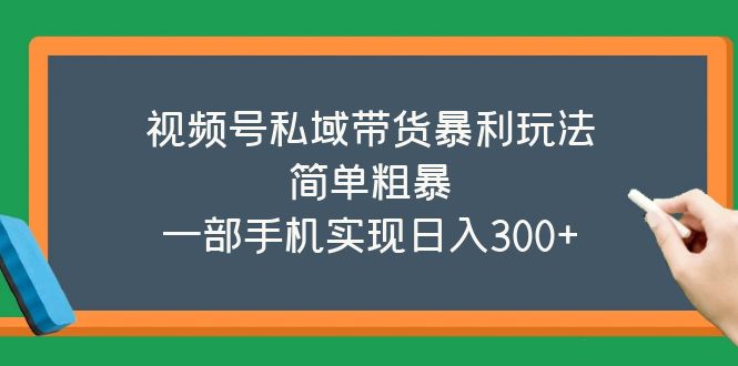 [短视频运营]（5544期）视频号私域带货暴利玩法，简单粗暴，一部手机实现日入300+