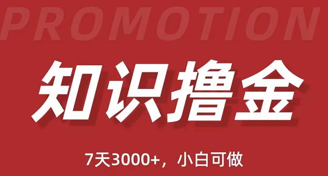 [热门给力项目]（5629期）抖音知识撸金项目：简单粗暴日入1000+执行力强当天见收益(教程+资料)