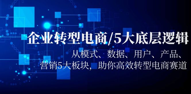 [国内电商]（5939期）企业转型电商/5大底层逻辑，从模式 数据 用户 产品 营销5大板块，高效转型-第1张图片-智慧创业网