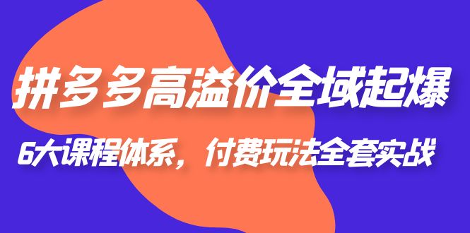 [国内电商]（6297期）拼多多-高溢价 全域 起爆，6大课程体系，付费玩法全套实战！-第1张图片-智慧创业网