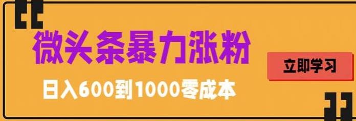 [热门给力项目]（5950期）微头条暴力涨粉技巧搬运文案就能涨几万粉丝，简单0成本，日赚600