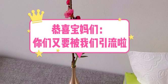 [引流-涨粉-软件]（5891期）恭喜宝妈们：你们又要被我们引流了（教程+222g资料）