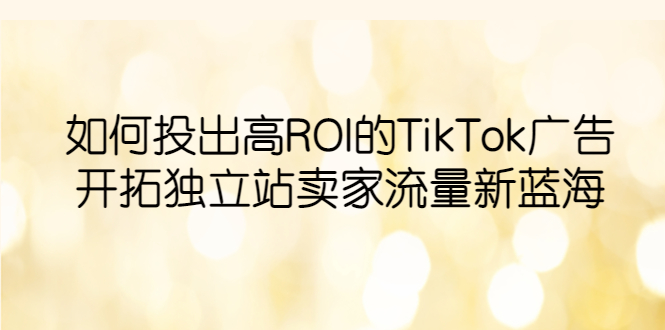 [跨境电商]（6102期）如何投出高ROI·TikTok广告，开拓独立站卖家流量新蓝海