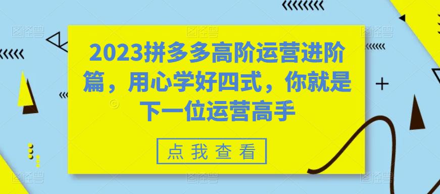 [国内电商]（6193期）2023拼多多高阶运营进阶篇，用心学好四式，你就是下一位运营高手