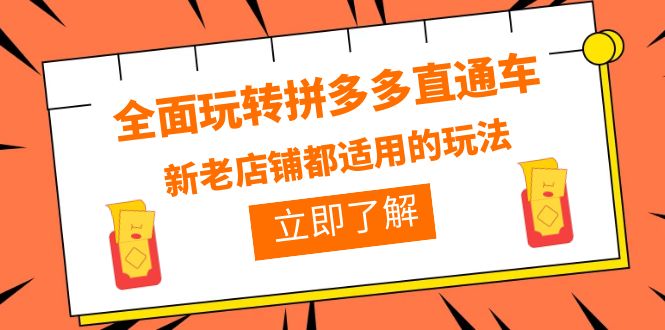 [国内电商]（6294期）全面玩转拼多多直通车，新老店铺都适用的玩法（12节精华课）-第1张图片-智慧创业网