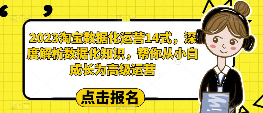 [国内电商]（6475期）2023淘宝数据化-运营 14式，深度解析数据化知识，帮你从小白成长为高级运营-第1张图片-智慧创业网