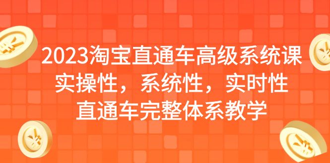 [国内电商]（6535期）2023淘宝直通车高级系统课，实操性，系统性，实时性，直通车完整体系教学-第1张图片-智慧创业网