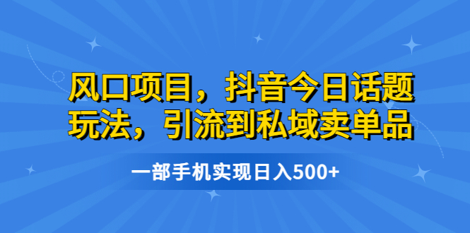 [热门给力项目]（6588期）风口项目，抖音今日话题玩法，引流到私域卖单品，一部手机实现日入500+