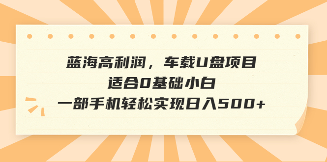 [热门给力项目]（6600期）蓝海高利润，车载U盘项目，适合0基础小白，一部手机轻松实现日入500+-第1张图片-智慧创业网