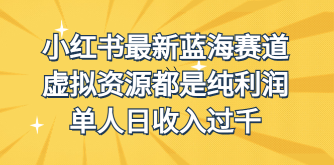 [热门给力项目]（6721期）外面收费1980的小红书最新蓝海赛道，虚拟资源都是纯利润，单人日收入过千