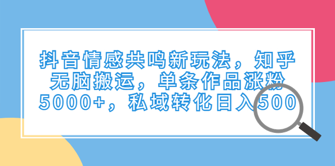 [热门给力项目]（6758期）抖音情感共鸣新玩法，知乎无脑搬运，单条作品涨粉5000+，私域转化日入500-第1张图片-智慧创业网