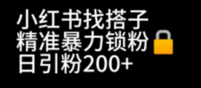 [引流-涨粉-软件]（6807期）小红书找搭子暴力精准锁粉+引流日引200+精准粉